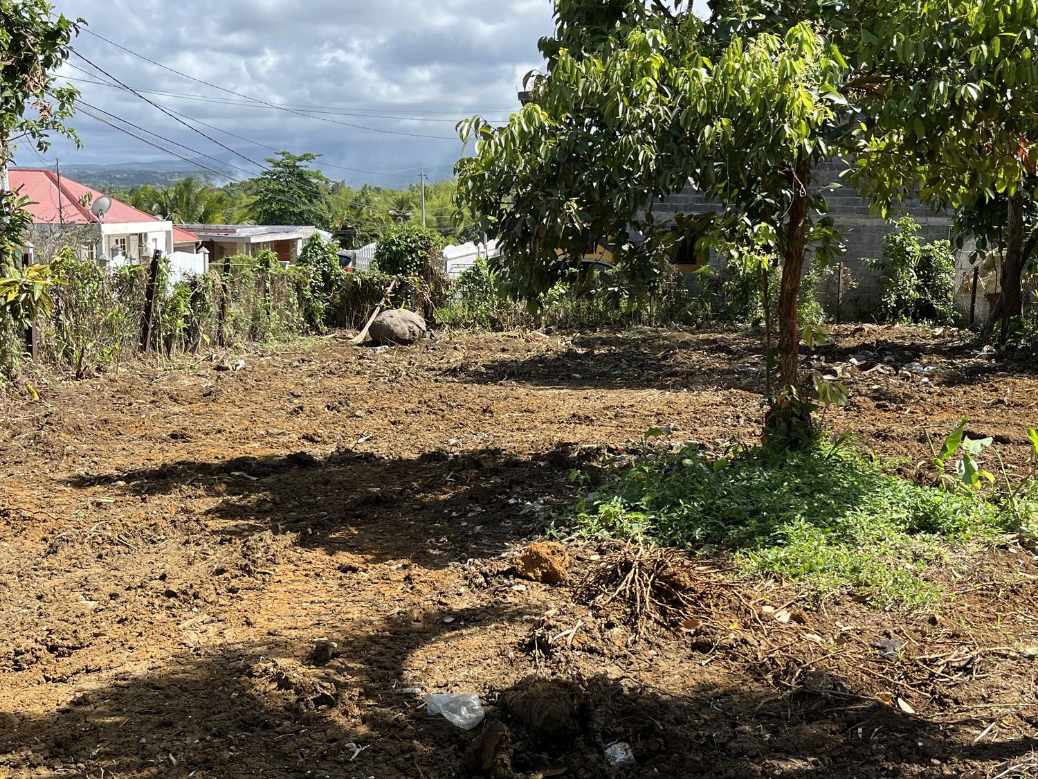 Préparation du terrain — Écolodge — Sainte-Rose